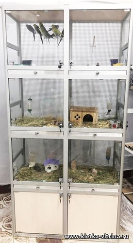 Витрина для зоомагазина