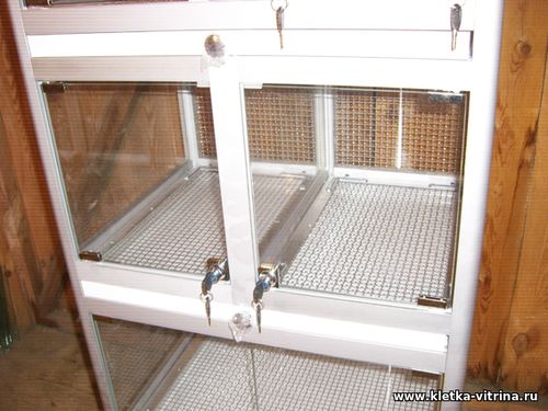 Витрина для зоомагазина