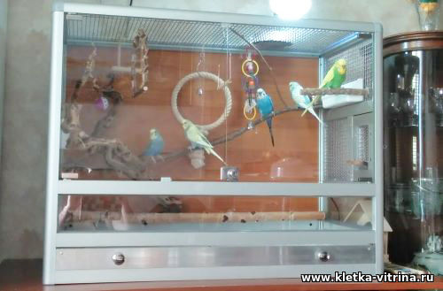 Клетка для попугаев