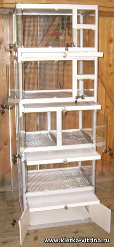Витрина для зоомагазина